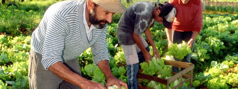 Diputados aprueban la modificación al Fondo Especial de Inversiones
