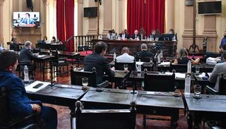 El Senado provincial dio acuerdo a Castiella y Chibán