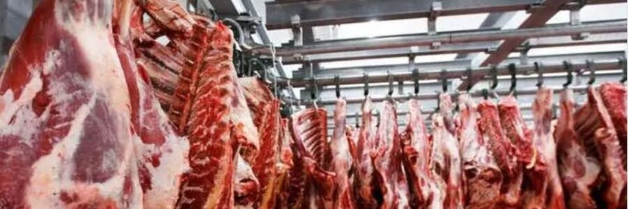 El Gobierno nacional prohibió la exportación de siete cortes de carnes por dos años