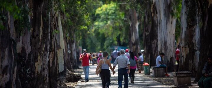 El parque San Martín quedó finalmente sin ambulantes
