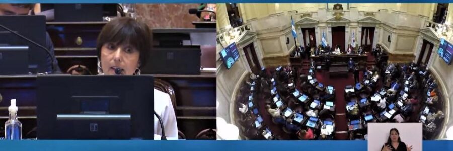 “Mi voto es negativo pero no en contra de mi Gobierno sino de la deuda ilegítima”, dijo Nora Giménez