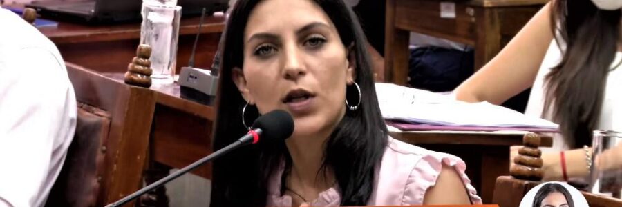 Concejales insisten en la derogación del decreto que habilita las fotomultas