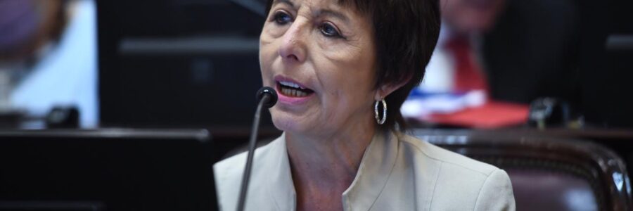 “Estamos en una situación difícil para la democracia”, dijo Nora Giménez