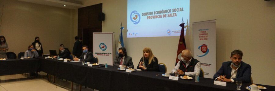 El Consejo Económico y Social aprobó el Programa de Desarrollo Minero