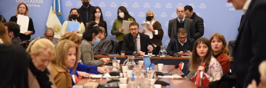 Boleta Única: en Diputados la oposición logró un dictamen de mayoría