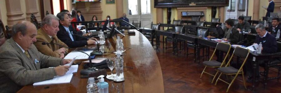 La Cámara de Senadores busca la protección de las víctimas de violencia de género