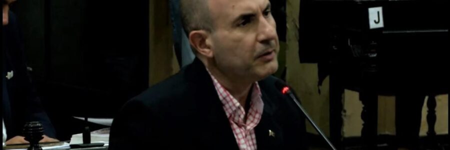 En Diputados el oficialismo insiste con la suspensión de las PASO Política