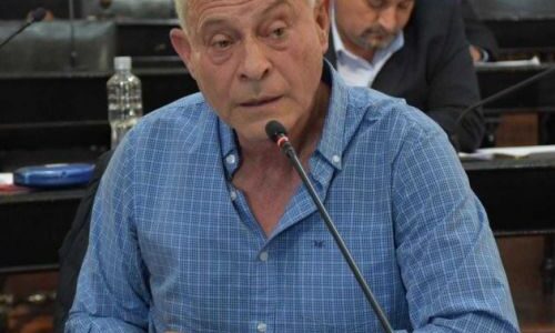 Senado aprobó la suspensión de las PASO y la renovación de concejales por mitades