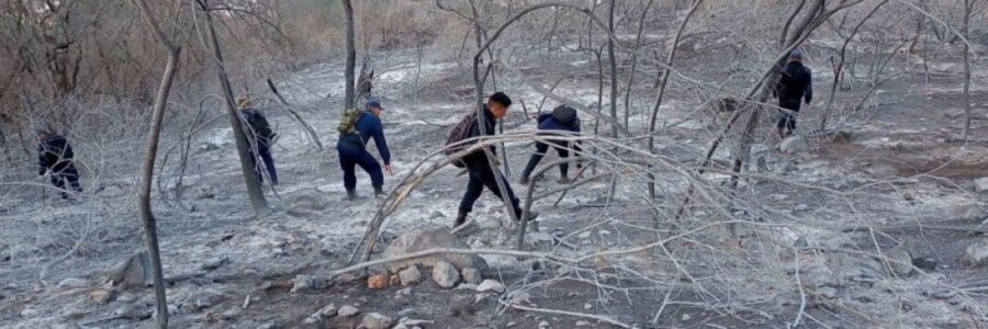 Desarrollaran un plan de remediación para poder recuperar varias zonas quemadas del cerro 20 de Febrero