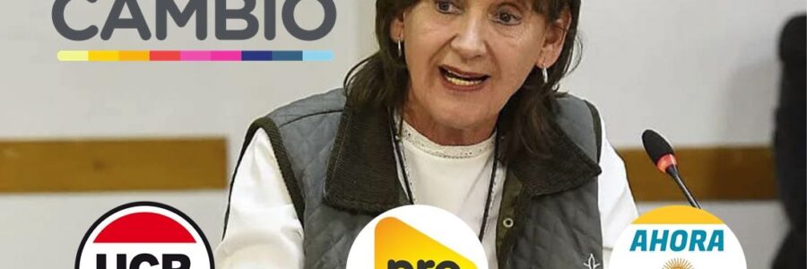 Virginia Cornejo aseguró que Ahora Patria era un “aliado ocasional” de JxC