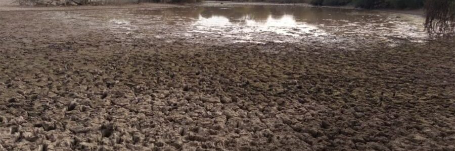 Evalúan declarar una nueva emergencia por la falta de agua