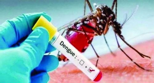 500 casos de dengue con 5 muertes en Bolivia generan alerta en la frontera salteña