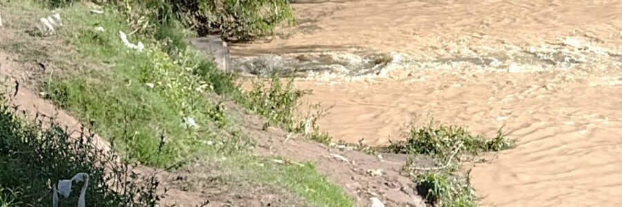 La Municipalidad inspeccionó el río Arenales por denuncia de mortandad de peces