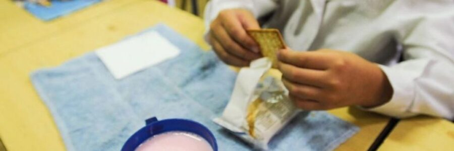 Desde el inicio de las clases se repartirá la copa de leche en Salta