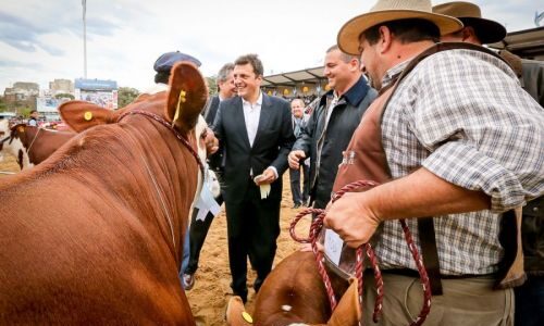 El gobierno busca contener el incremento de la carne