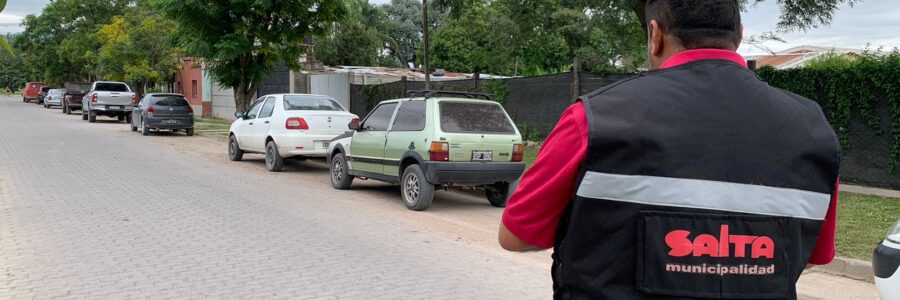 El municipio realiza un operativo ambiental en los barrios de zona San Luis