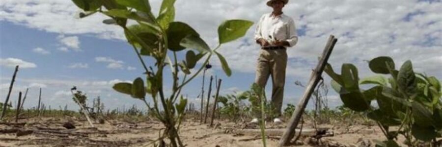 Emergencia agropecuaria en diez departamentos de Salta por sequía