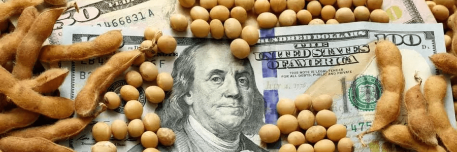 Con la oficialización del dólar agro esperan un ingreso de 5.000 millones de dólares en 45 días