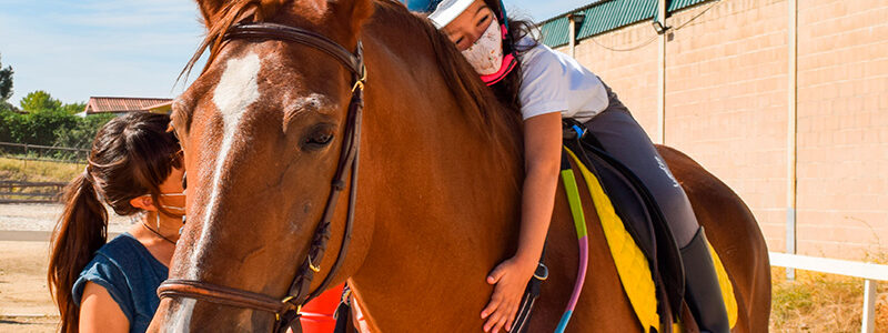 “Equinoterapia en mi barrio”, el nuevo programa que pondrá en marcha el municipio