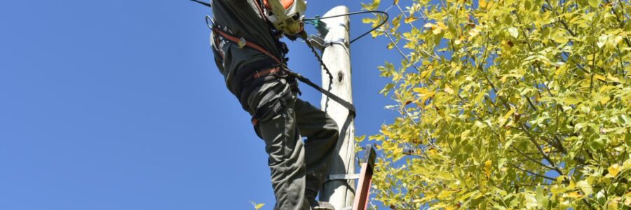 La Municipalidad avanza con la instalación de nuevas luminarias LED