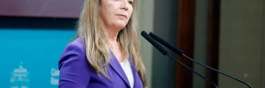 Imputaron a Gabriela Cerruti  por omisión de denuncia e incitación a la violencia tras los saqueos