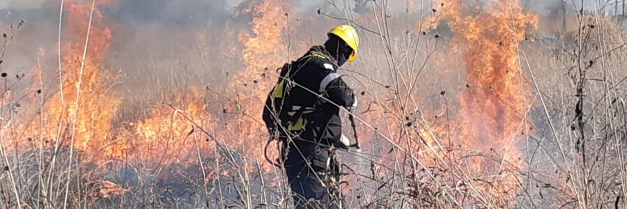 Por alta probabilidad de incendio de pastizales recomiendan extremar cuidados