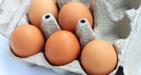 Pautas de cuidado para prevenir la infección por salmonelosis