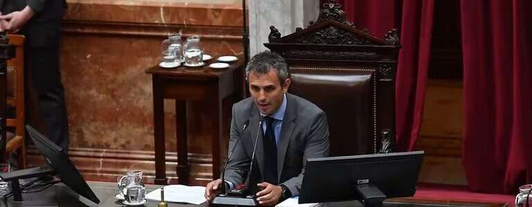 Martín Menem dijo que van a seguir bajando gastos y habló sobre las dietas de los diputados