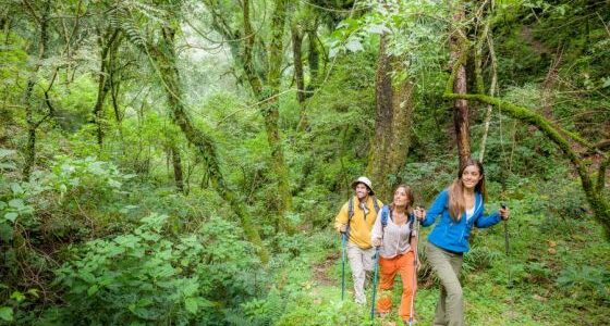 Salta te invita a disfrutar de una gran variedad de experiencias turísticas