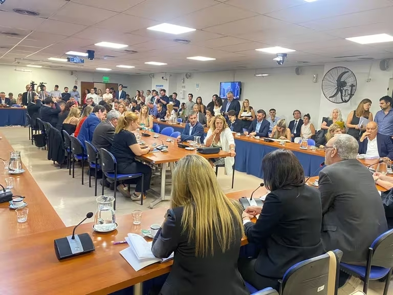 Se conformaron las cuatro comisiones que debatirán la Ley ómnibus en Diputados