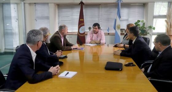 El proyecto de litio Centenario-Ratones comenzará su producción en la segunda mitad del año