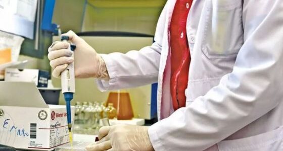 En Salta ya son 169 los casos confirmados de dengue