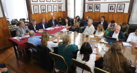 El Ejecutivo ingresará a la Legislatura un proyecto para declarar la Emergencia en el Transporte