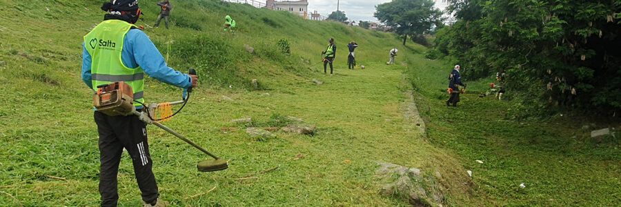 Comenzaron las tareas de limpieza y desmalezado en el canal Bicentenario