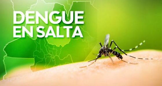 Los casos de dengue se incrementaron casi al doble en la última semana