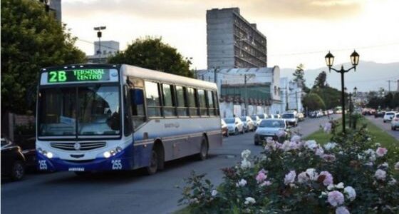 Servicio de colectivos en Semana Santa