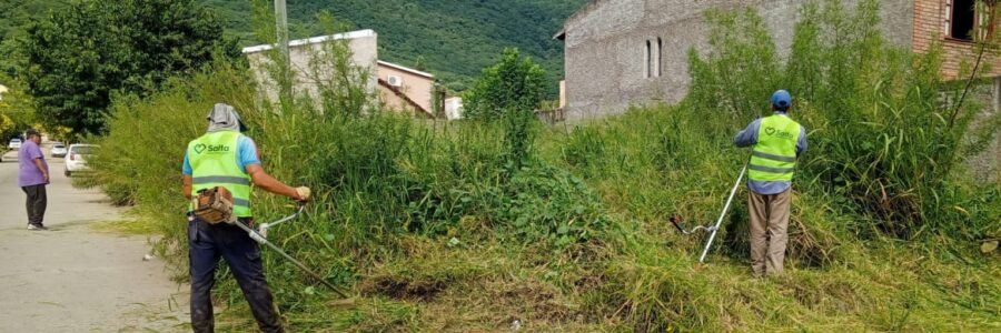 La Municipalidad inició la limpieza de baldíos en mal estado
