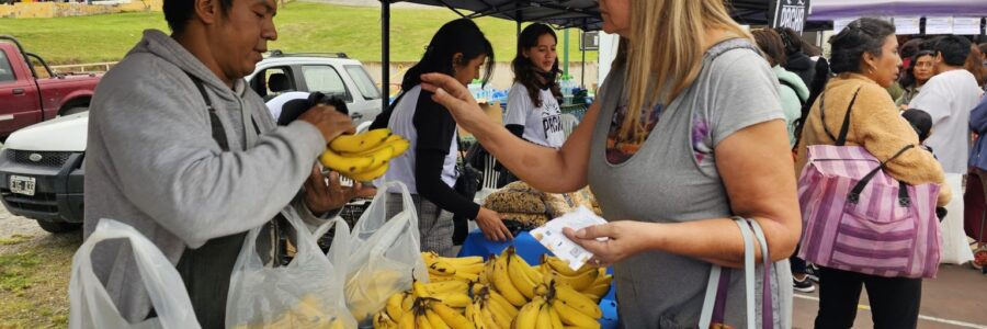 Se realizará una nueva edición de “El mercado en tu barrio” en Limache