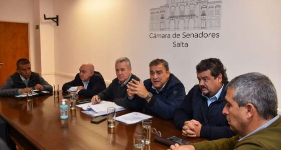 El ministro Mangione informó a Senadores sobre el avance de las políticas sanitarias en la Provincia