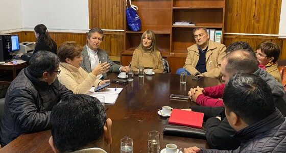 Mangione informó a diputados los avances en la implementación del plan de salud federal