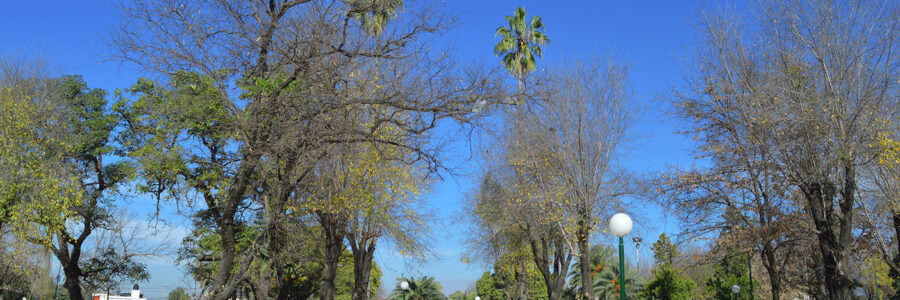 Se ampliará el sistema del desagüe pluvial de la plaza Gurruchaga