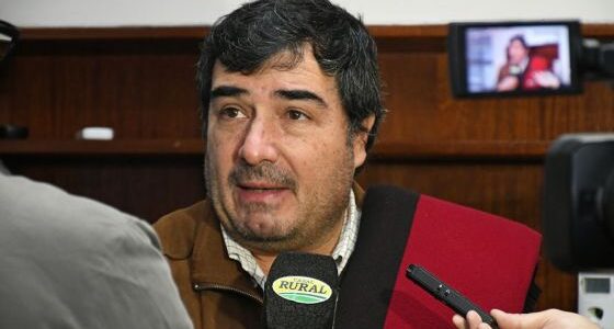 Destacan el potencial de las cadenas foresto industrial y bioenergéticas en materia de sustentabilidad ambiental