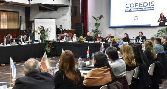 Salta presente en la 100° Asamblea del Consejo Federal de Discapacidad