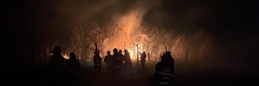 Más de 350 personas trabajaron para sofocar el incendio del fin de semana en zona sudeste