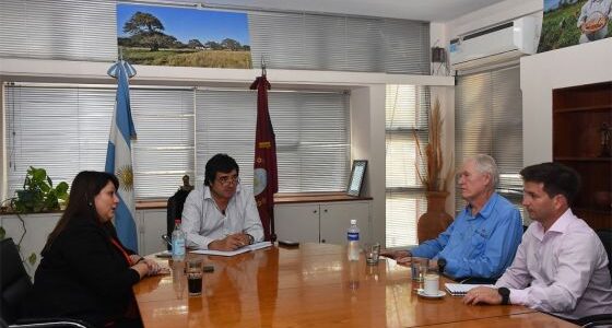 Avanza el análisis del proyecto de cobre Taca Taca