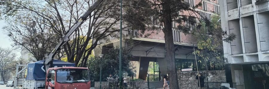 Se realiza despeje de cableado en calles del recorrido de la procesión del Milagro