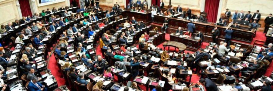 Senado: oposición avanzó en aumento de fondos universitarios, pese al posible veto de Milei