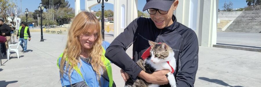 Cronograma de vacunación antirrábica para esta semana