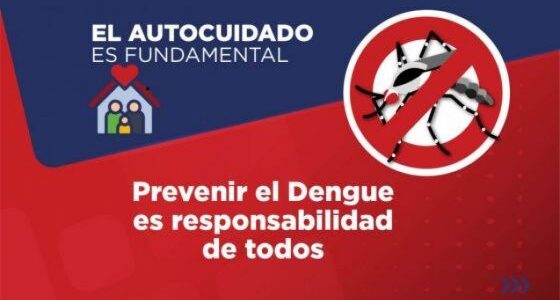 Recomendaciones contra el dengue: la prevención empieza en casa