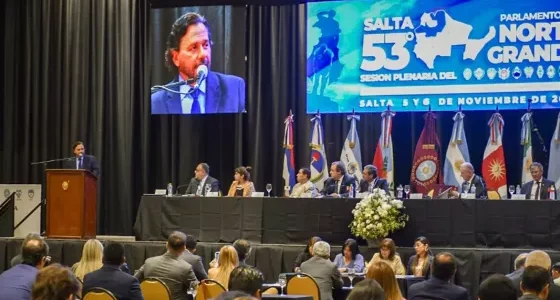 Sáenz en el Parlamento del Norte Grande: “Tenemos que ponernos firmes, alzar la voz y pelear por lo que nos corresponde”